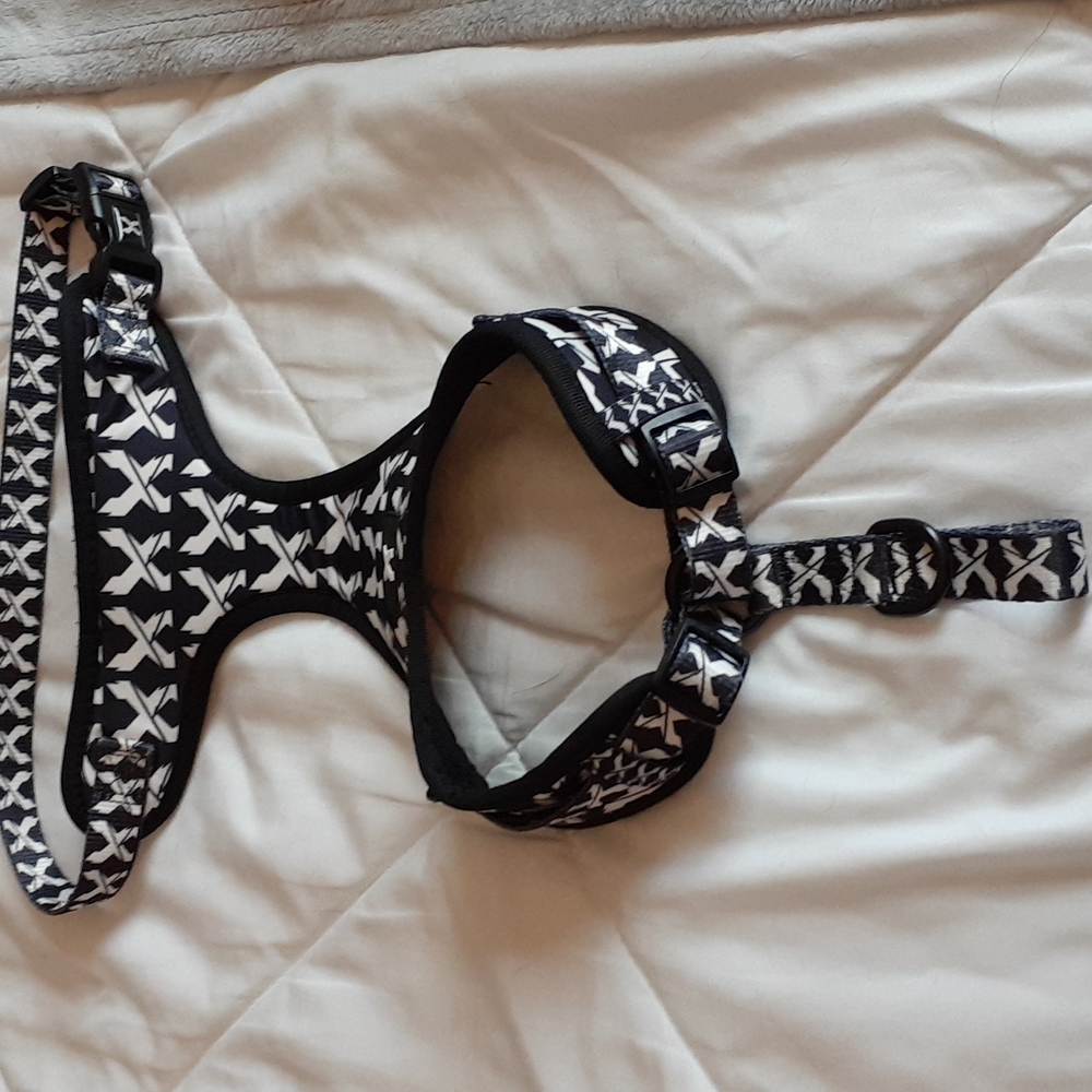 Excision Limited Edition